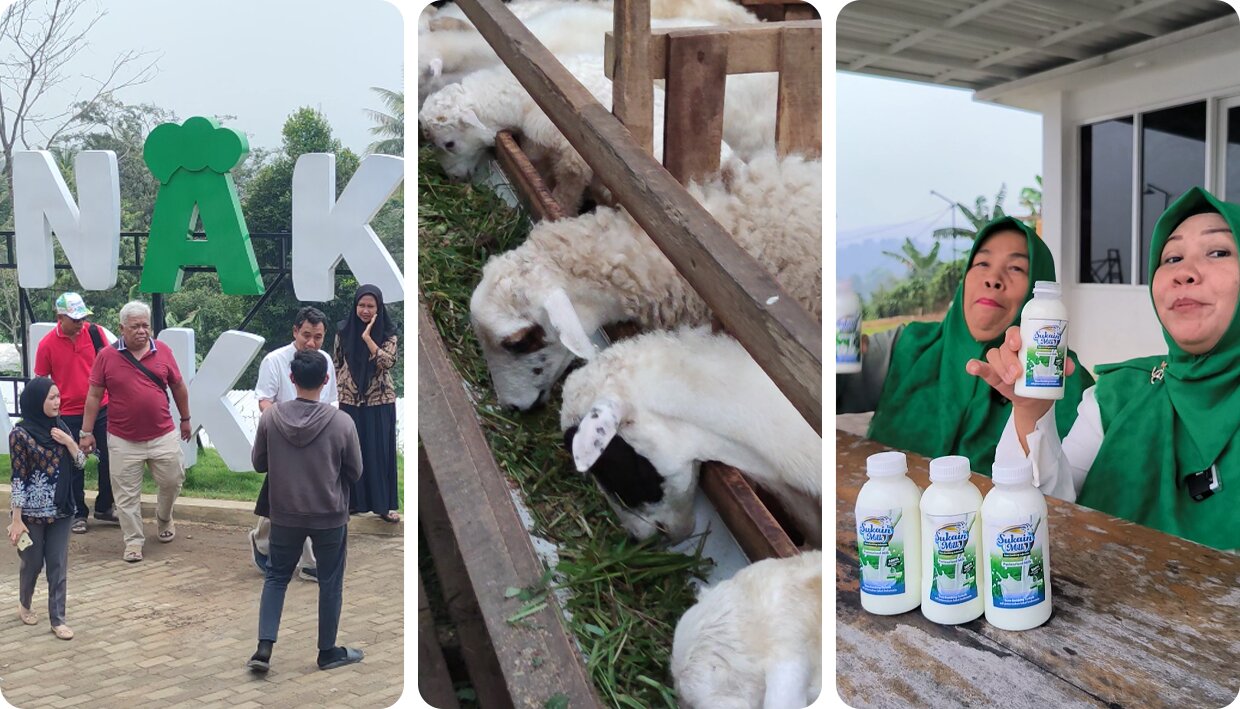 Dokumentasi Ternakpark 10