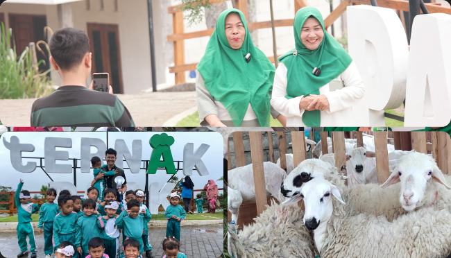Dokumentasi Ternakpark 2