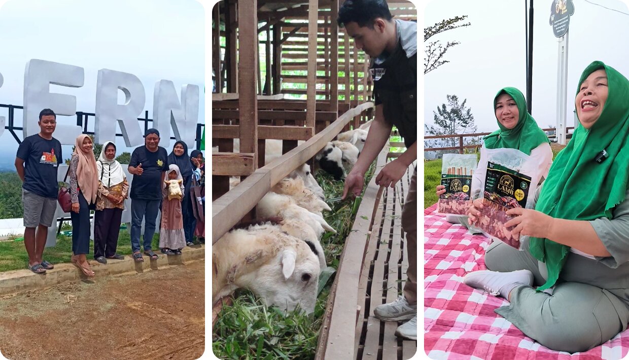 Dokumentasi Ternakpark 9