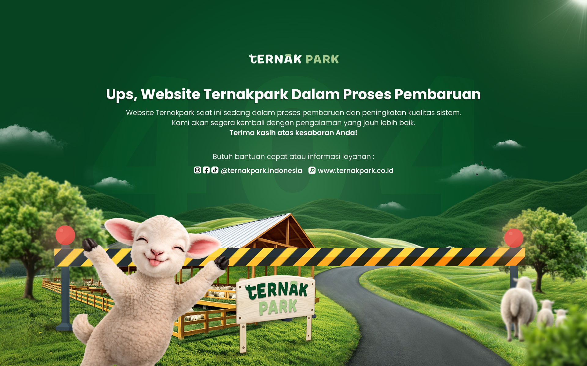 promo breeding domba ternakpark ternakpark promo breeding ternak