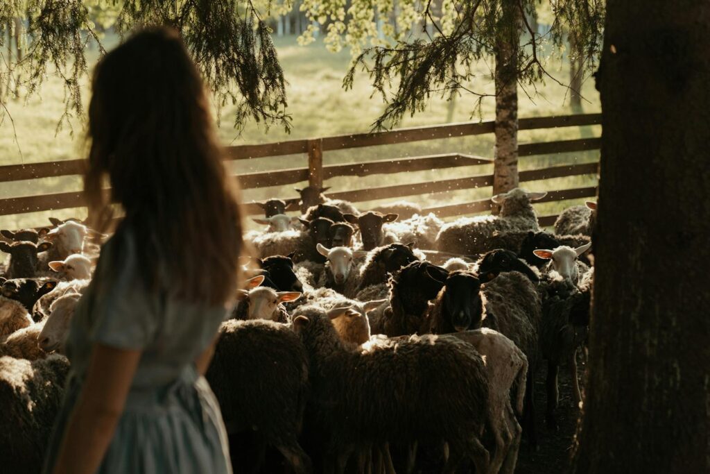Woman in White Shirt Standing Beside Sheep