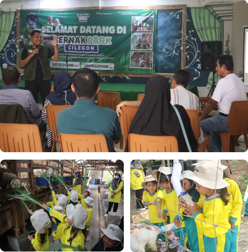 ternakpark cilegon - kunjungan masyarakat 01
